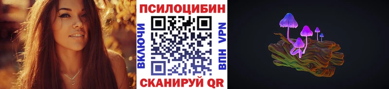 Псилоцибиновые грибы прущие грибы  Сельцо 